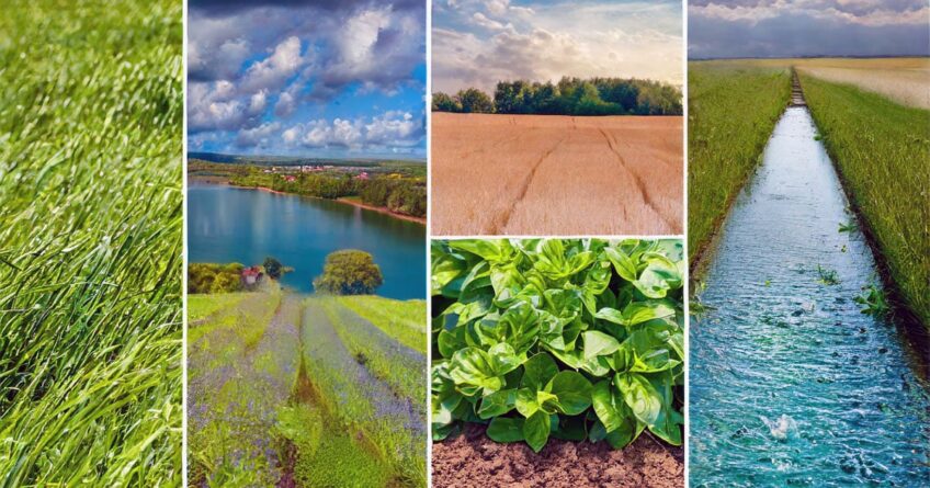 Collage of green fields and water